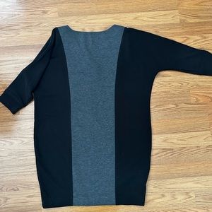 Fitted Sweater Dress